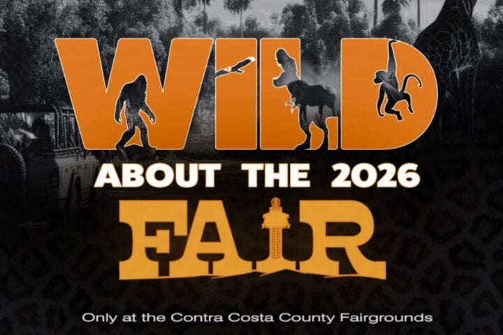 Theme image of the county fair - Wild about the 2026 Fair.